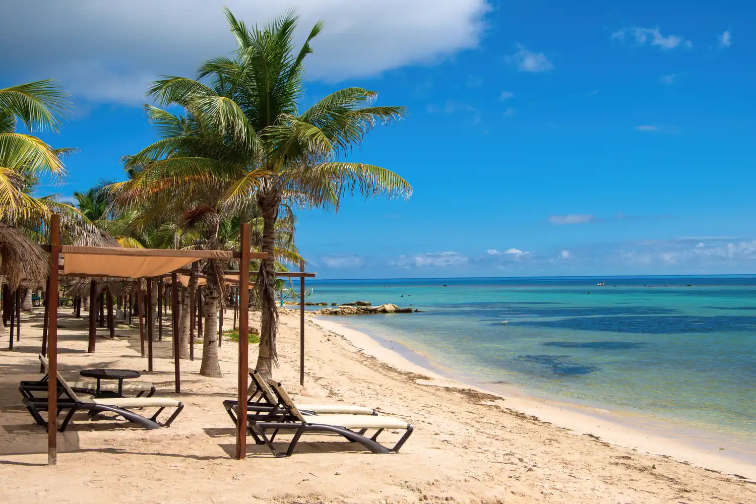 Beach with loungers palm trees and a clear ocean view