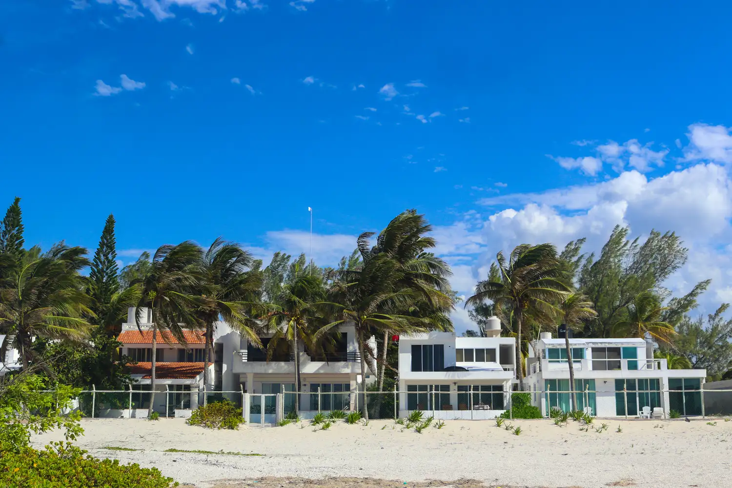 Beachfront houses with palm trees swaying in the wind clear skies above