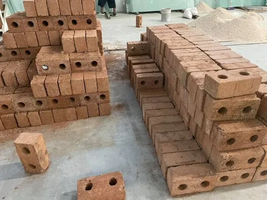 Researchers at Instituto Tecnológico de Chetumal examine sargassum seaweed samples for construction applications