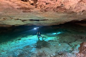 The cenotes where Typhlatya shrimps occur The cenotes where Typhlatya shrimps occur