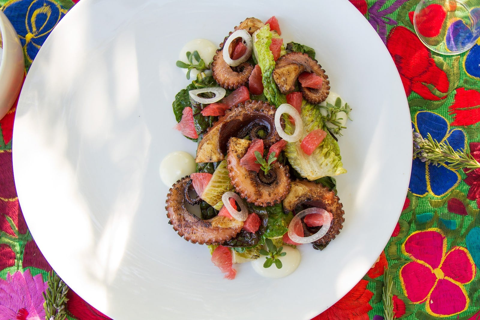 Salt & Wind Travel: Baja California Octopus Photo by Joanne Pio